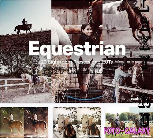 20 Equestrian Lightroom Presets LUTs - 31380369