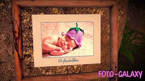 Photo Gallery In A Sunny Forest 357920 - Project for After Effects 