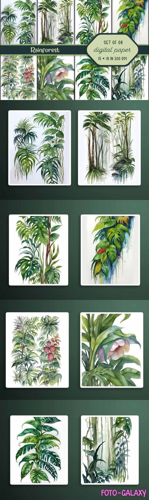 Amazing Watercolor Rainforest Illustrations Pack