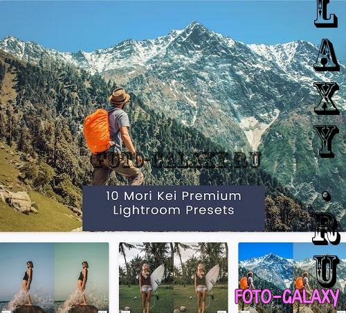 10 Mori Kei Premium Lightroom Presets - FGR3X7U
