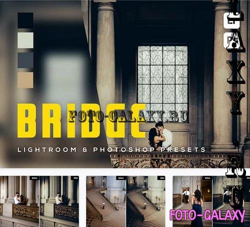 6 Bridge Lightroom and Photoshop Presets - BSEN5N5