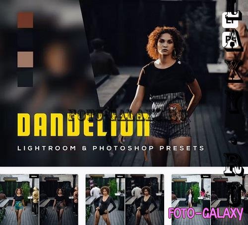 6 Dandelion Lightroom and Photoshop Presets - N2XD9QL