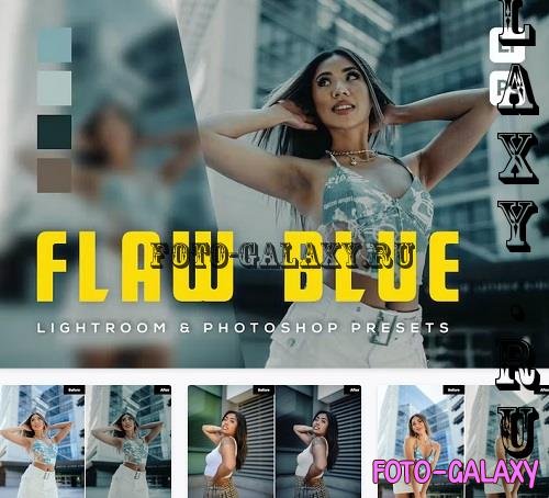 6 Flawblue Lightroom and Photoshop Presets - 9CC65CC