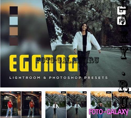 6 Eggnog Lightroom and Photoshop Presets - F6SND6D