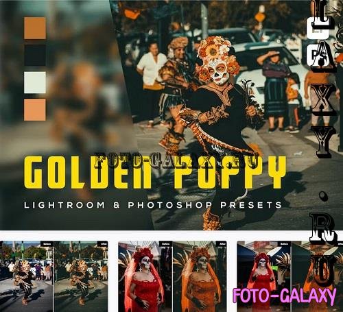 6 Golden poppy Lightroom and Photoshop Presets - MW28DQK