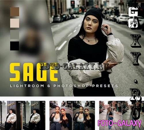 6 Sage Lightroom and Photoshop Presets - 3TLZRBC