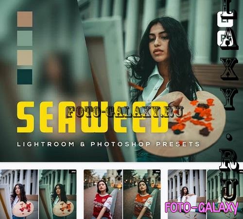6 Seaweed Lightroom and Photoshop Presets - D6PPK7H