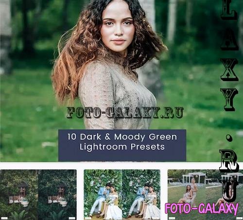 10 Dark & Moody Green Lightroom Presets - FPWB6X8