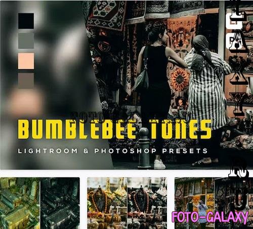 6 Bumblebee tones Lightroom and Photoshop Presets - TN9YSQW