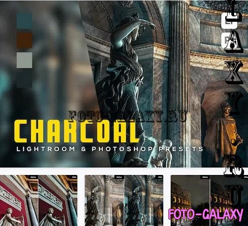 6 Charcoal Lightroom and Photoshop Presets - DF785TY