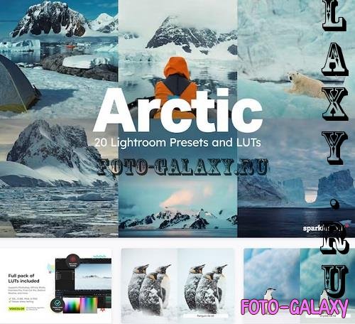 20 Arctic Lightroom Presets LUTs - 42176194