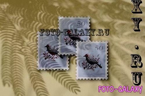Scene of three postage stamps mockup - 2YTTM4U