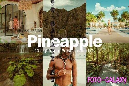 20 Pineapple Lightroom Presets LUTs - 42178935