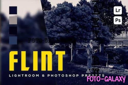 6 Flint Lightroom and Photoshop Presets - FWZKZ49