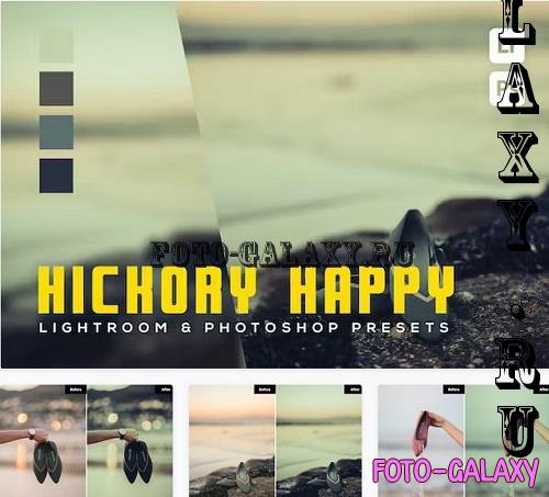 6 Hickory happy Lightroom and Photoshop Presets - PEU8JR7