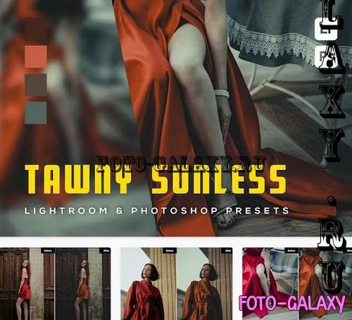 6 Tawny sunless Lightroom and Photoshop Presets - RHGRK7B