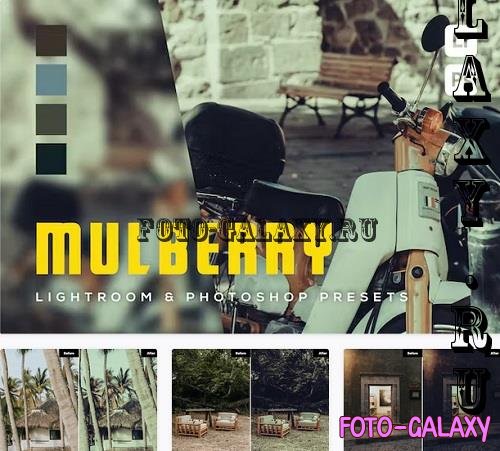 6 Mulberry Lightroom and Photoshop Presets - BJNU3G7