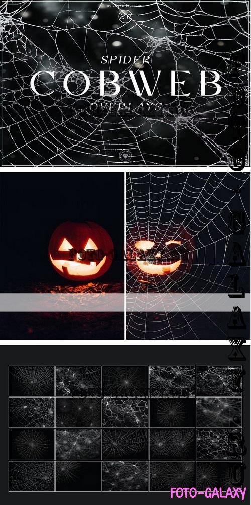 Spider Cobweb Overlays - HGDTX5U