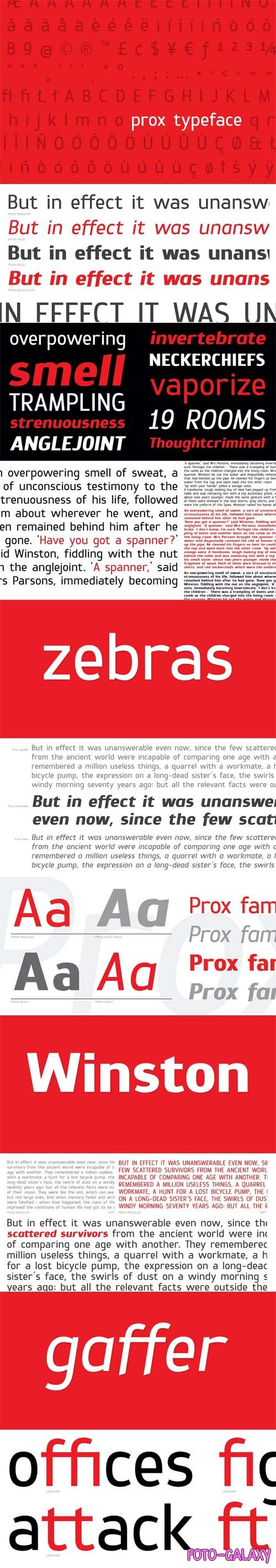 Prox - Sans Serif Font Family