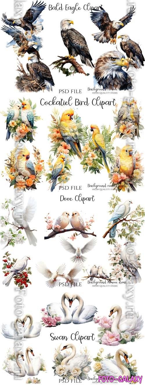 Swan, parrots, pigeons, two birds with words love, cockatiel bird, bald eagles bird - PSD illustration cliparts set