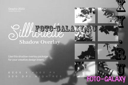 Silhouette Shadow Overlay - 2KCTJ97