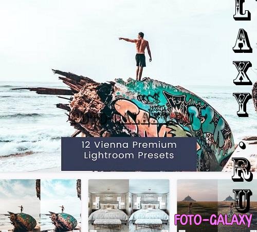 12 Vienna Premium Lightroom Presets - ZHS8FQT