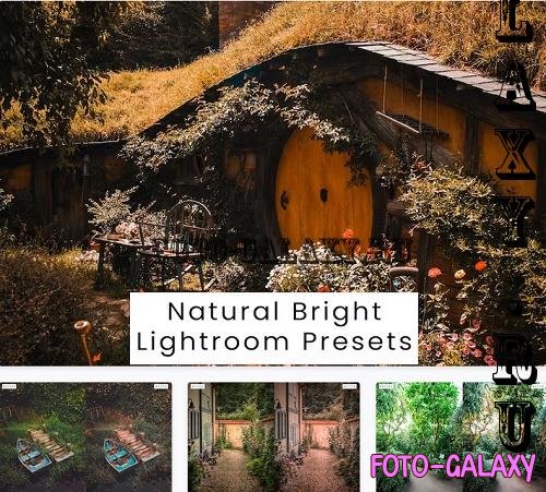 Natural Bright Lightroom Presets - XDTH73U