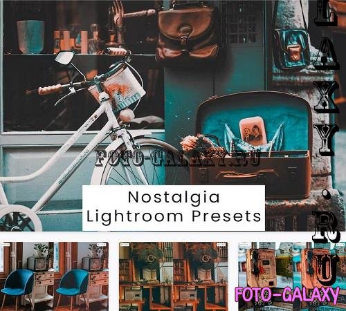 Nostalgia Lightroom Presets - SCXY3NY