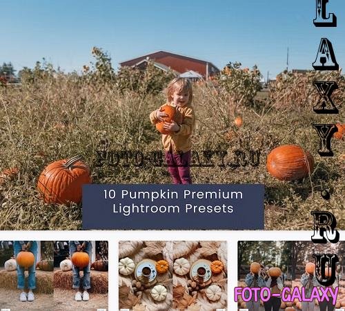 10 Pumpkin Premium Lightroom Presets - 5477Z3D