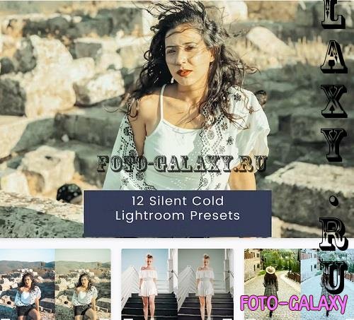 12 Silent Cold Lightroom Presets - 99KFG9Z