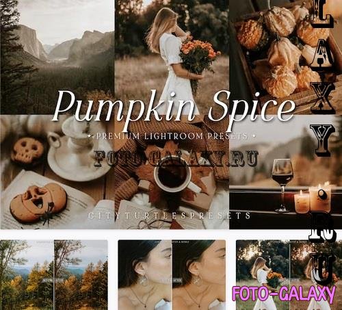 Pumpkin Spice Fall Lightroom Preset - 91583916