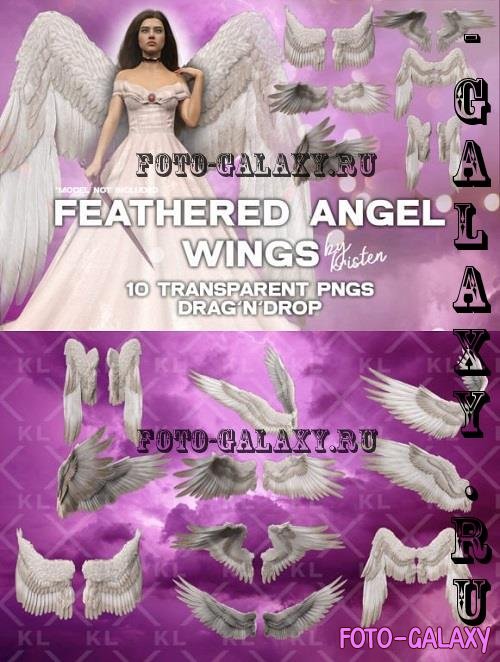 10 3D Angel Wings Photo Overlay PNGs