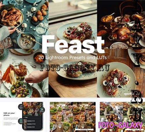 20 Feast Lightroom Presets LUTs - 91582401