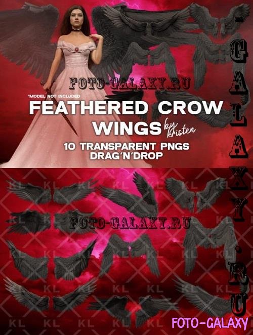 10 3D Crow Wings Photo Overlay PNGs