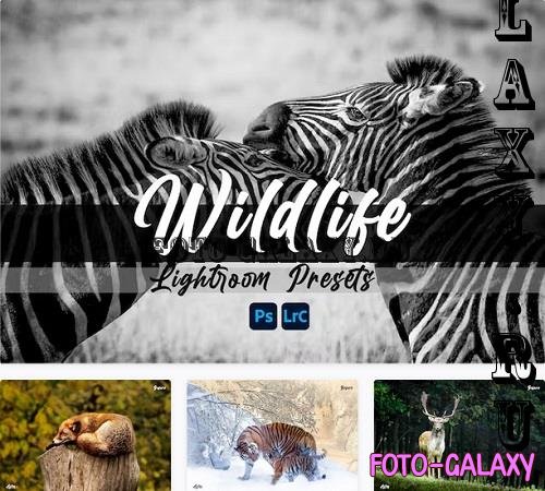 Wildlife Lightroom Presets - QDVF7F2