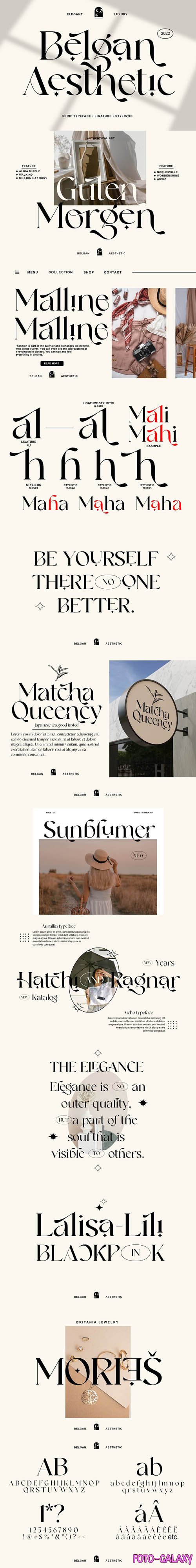 Belgan Aesthetic Serif Typeface