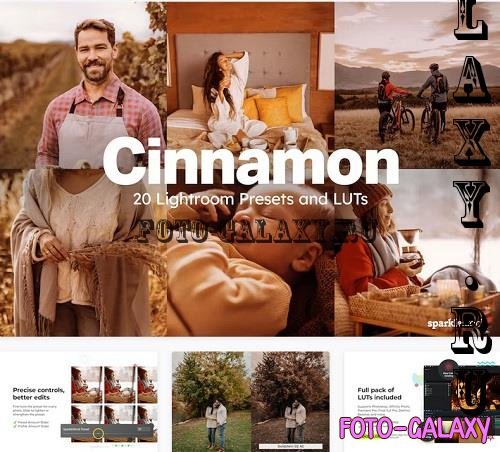 20 Cinnamon Lightroom Presets LUTs - 91619690