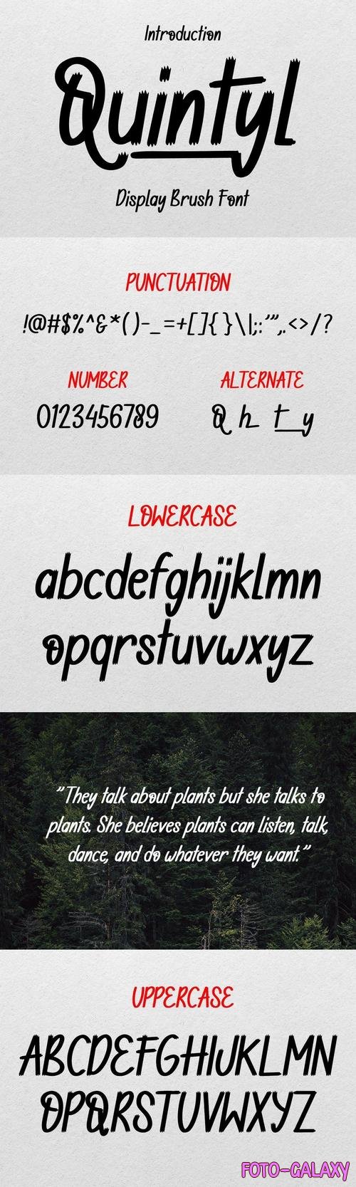 Quintyl - Brush Font 