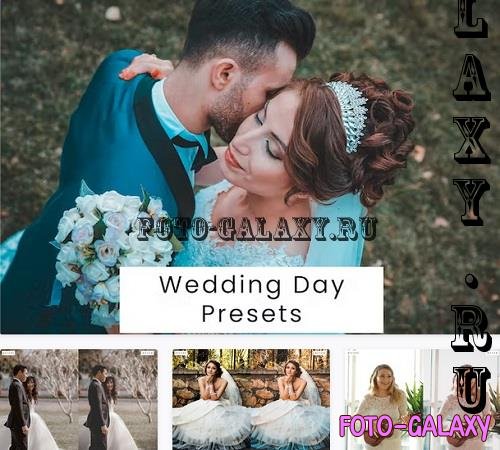 Wedding Day Presets - 772AZL4