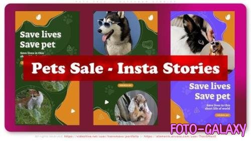 Videohive - Pets Sale - Instagram Stories 49719639 