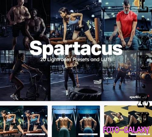 20 Spartacus Lightroom Presets LUTs - 91869830