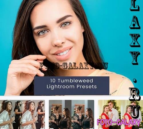 10 Tumbleweed Lightroom Presets - 4NDVWGV