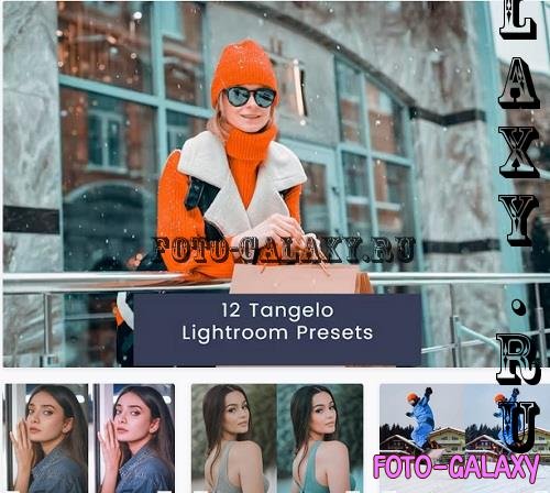 12 Tangelo Lightroom Presets - 5946XU5