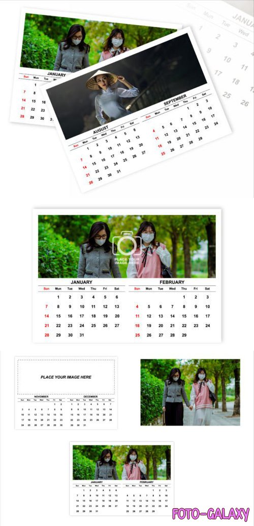 Monthly Calendar 2024 Vector Design Template