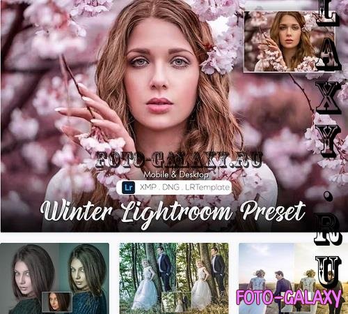 20 Winter Lightroom Preset - 7N43G35