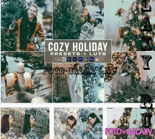 Cozy Holiday Video Luts Presets Mobile & Desctop - W5RBQW7