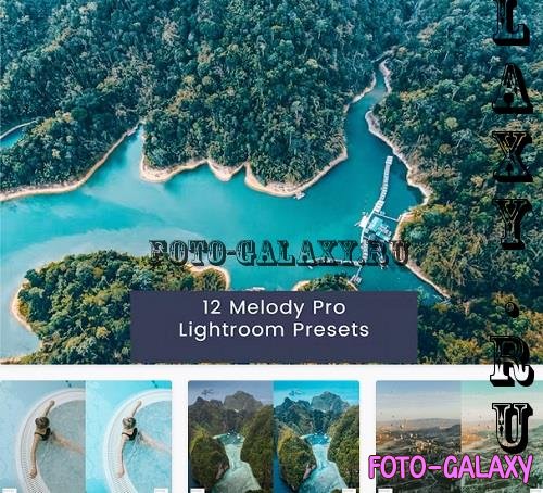 12 Melody Pro Lightroom Presets - J627UU4