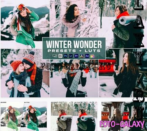 Winter Wonder Presets And luts Videos Premiere Pro - B28QNJW