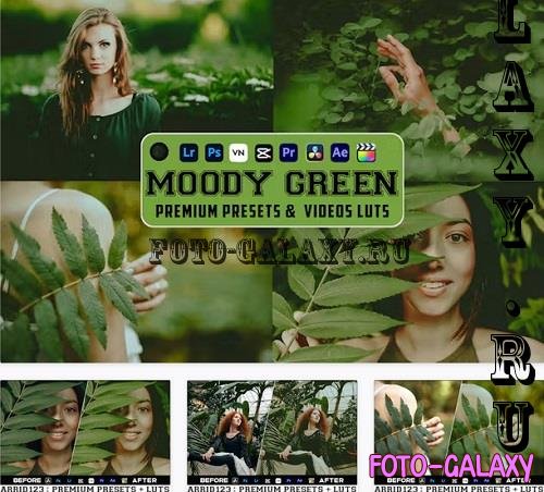 Moody Green Luts Videos & Presets Mobile Desktop - TSQT7KQ
