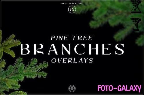 Pine Tree Branches Overlays - 2FQ47LY